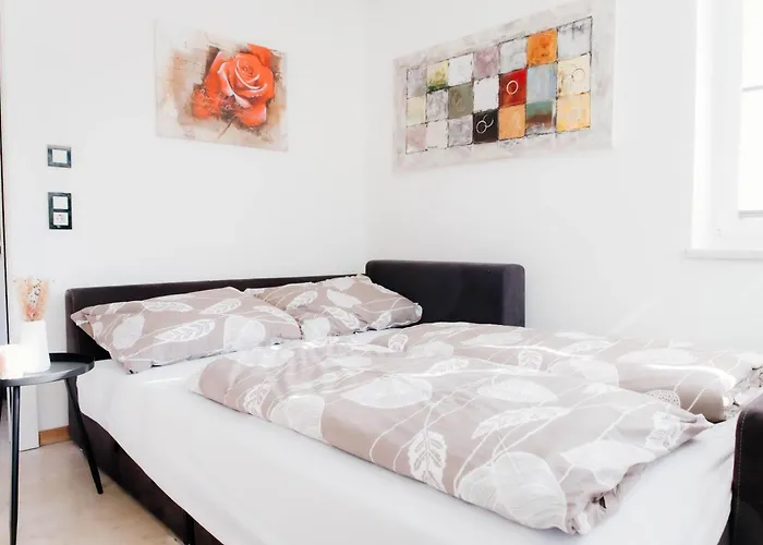 公寓 Franz 斯拉德明